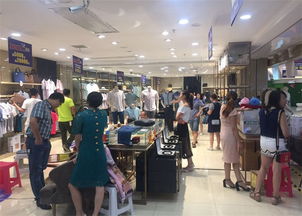 安徽發(fā)現(xiàn)之光教育信息咨詢 照亮成長(zhǎng)之路的專業(yè)引航